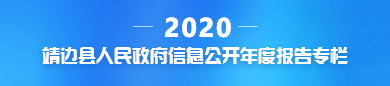 靖边县人民政府2020年政府信息公开工作年度报告汇总
