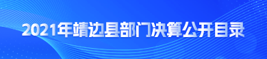 2021年靖边县部门决算公开目录